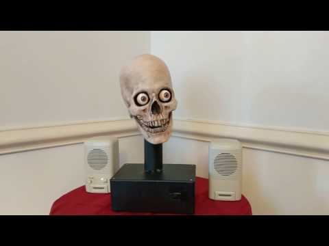Project Yorick