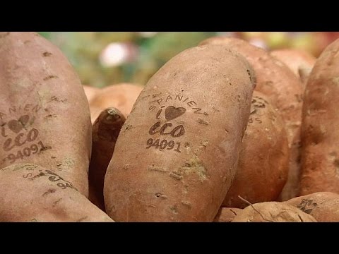 Dank Lichtstrahl: NatÃ¼rliches Ãko-Label fÃ¼r Obst und GemÃ¼se