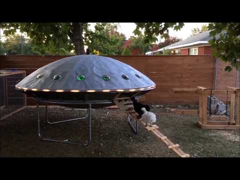 UFO Chicken Coop