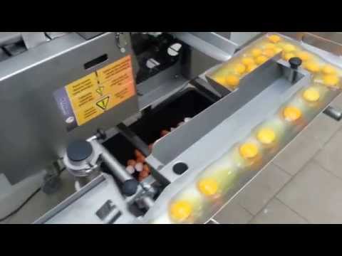 Egg Breaker single line RZâ1, Made in OVO-TECH Poland.