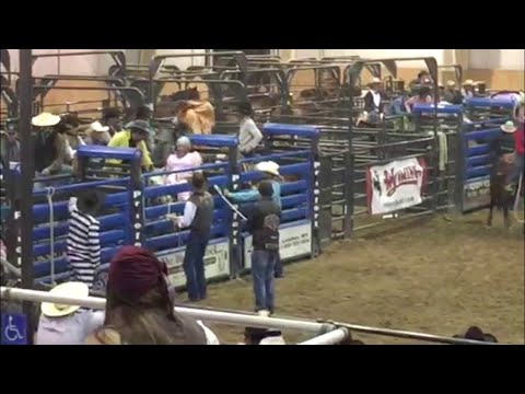 T-Rex Cowboy at Halloween Rodeo || ViralHog