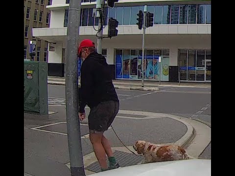 Angry pedestrian gets instant karma