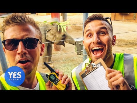 Sneaking in EVERYWHERE for FREE (Yellow Vest Experiment)