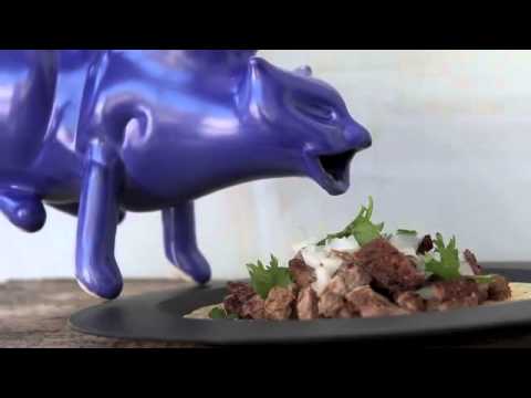 Puking Kitty Saucy Boat