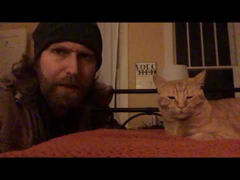 Son of Vengeance Meow