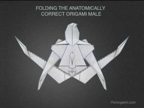PORNOGAMI - THE ANATOMICAL MALE