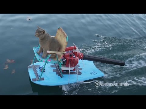 Homemade Jet Ski - Aarons Animals