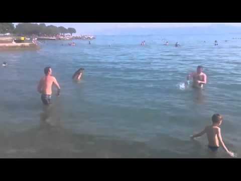 Kako Bosanci bacaju frizbi HD