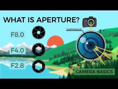 Camera Basics - Aperture