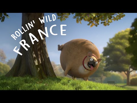 Rollin&#039; France - what if animals were round?