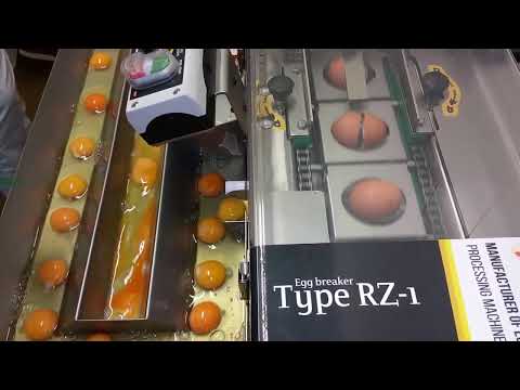 Egg Breaker single line RZâ1 (Client from Germany), Wybijarka jednorzÄdowa RZâ1 OVO-TECH