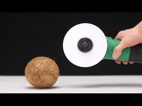 WHAT CAN YOU CUT WITH PAPER?