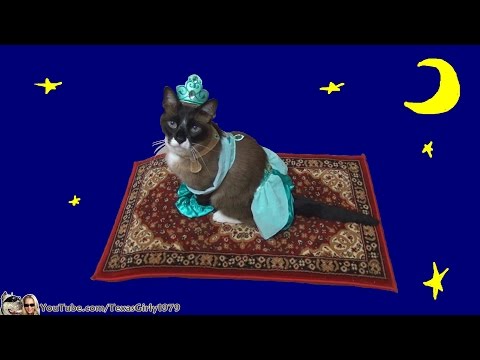 Cat Riding Magic Flying Carpet. #HappyHalloween I TexasGirly1979