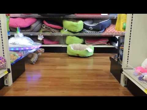 UFO strikes Pet Supermarket