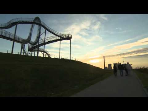 Tiger &amp; Turtle