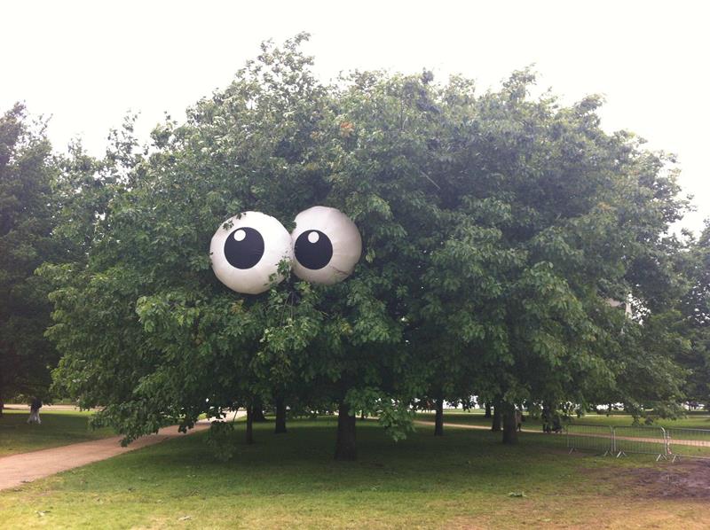 Neulich im Park: Der erste Baum mit Augen