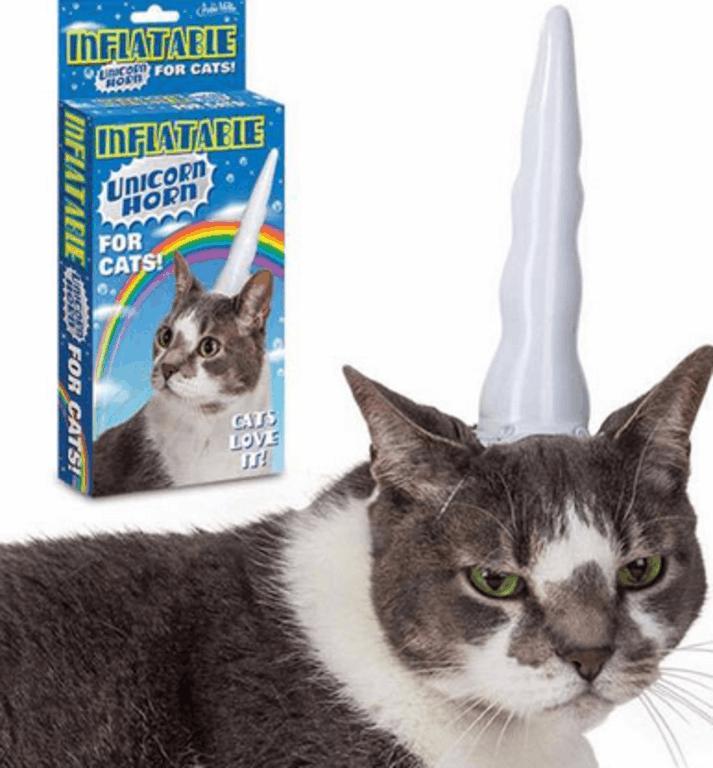 Einhorn_Katze_Tyrosize