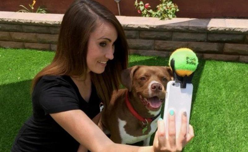 Selfies mit dem Hund – Eine Tennisballhalterung fürs Smartphone hilft