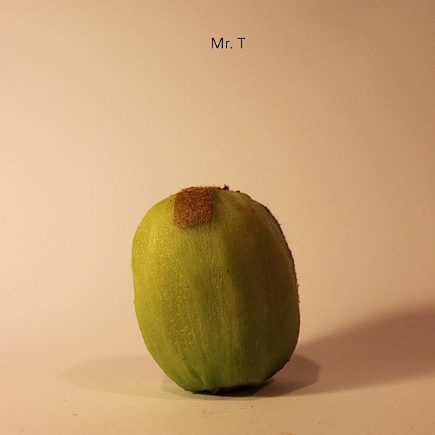 kiwi-face- (3)