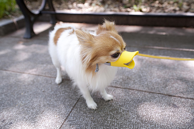 Oppo-Dog-Muzzle-Quack-Tyrosize2