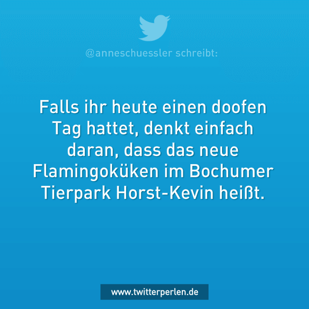 Wie man den Montag noch retten kann