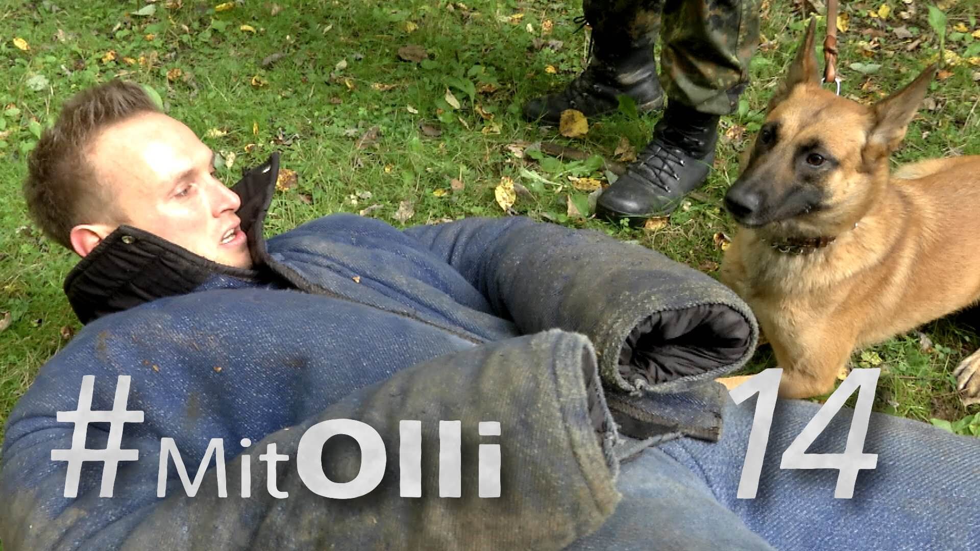Mit Olli vom Schäferhund angefallen werden: Ein Einblick in die Diensthundeschule