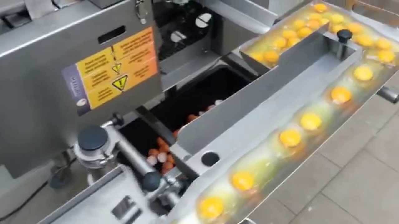 So trennt eine Maschine das Eigelb vom Eiweiß