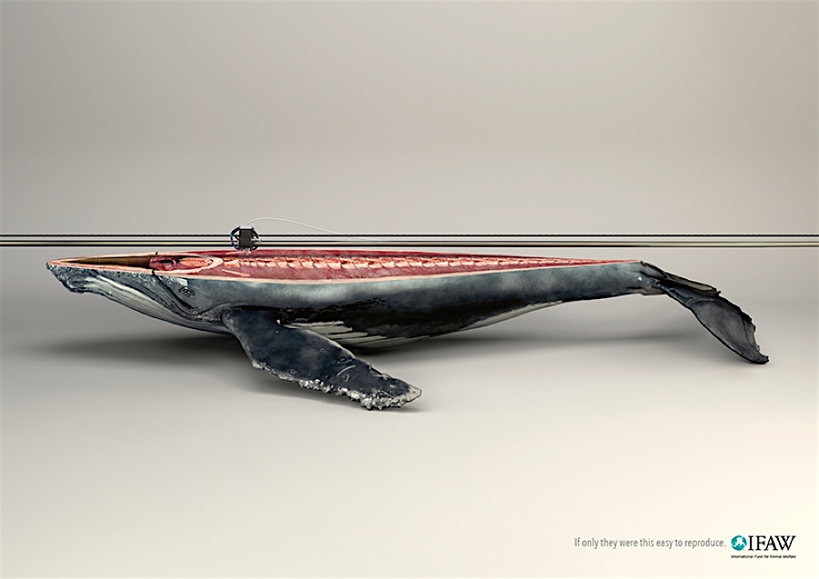 3d-printed-animals4