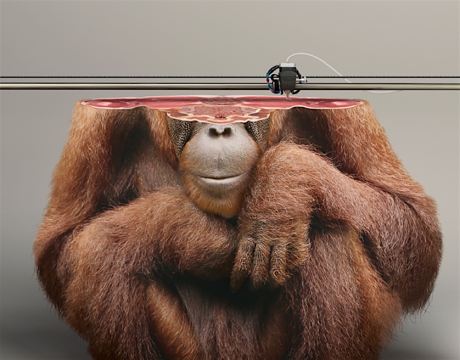 3d-printed-animals7
