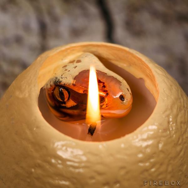 Dinosaur-Candle-3
