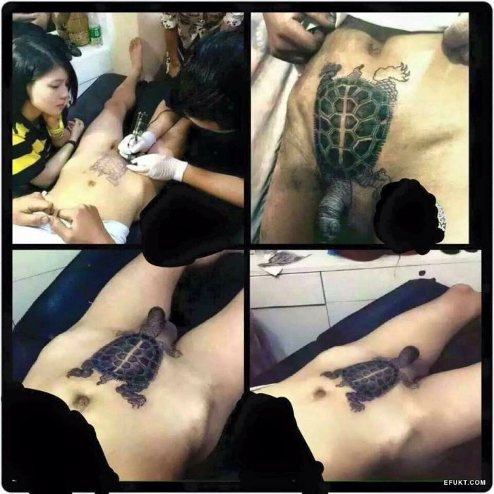 Eine Schildkröte mit Penis-Kopf: Das Tattoo des Tages