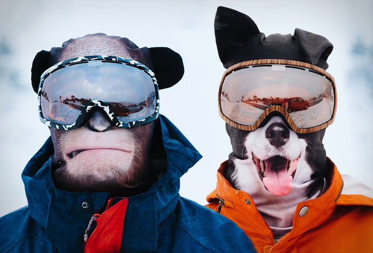 Tierisch gute Skimasken