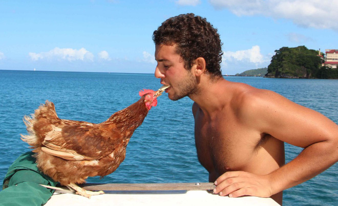 Um die Welt segeln mit einem Huhn als Travel Buddy