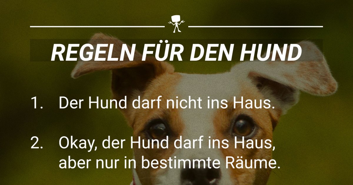 Ein paar einfache Regeln für den Hund