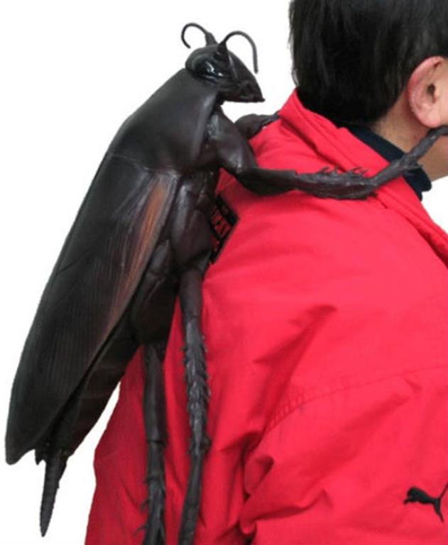 kafbackpack1dfsdfsdf