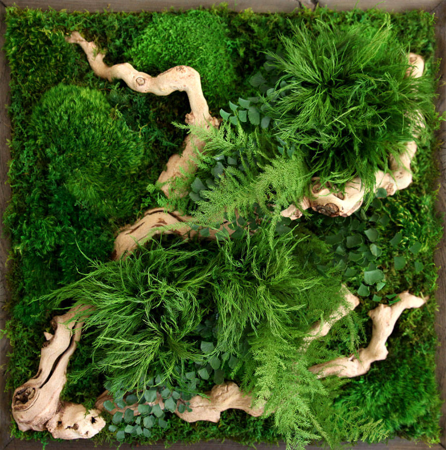 mosswallart5-900x908