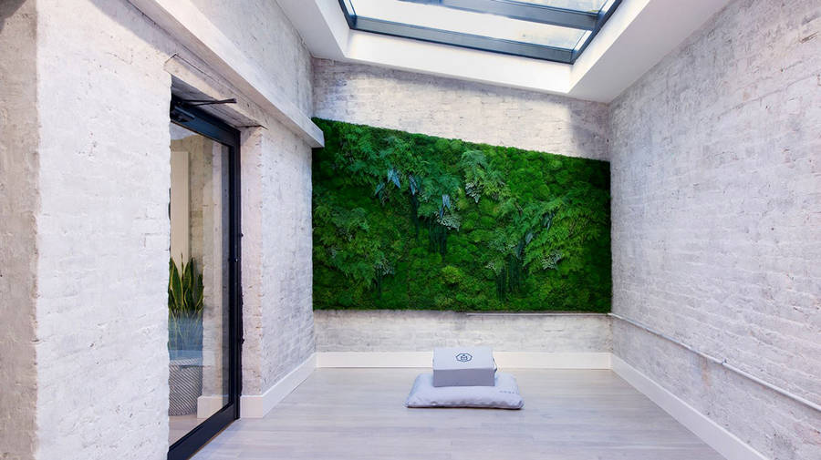 mosswallart6-900x505
