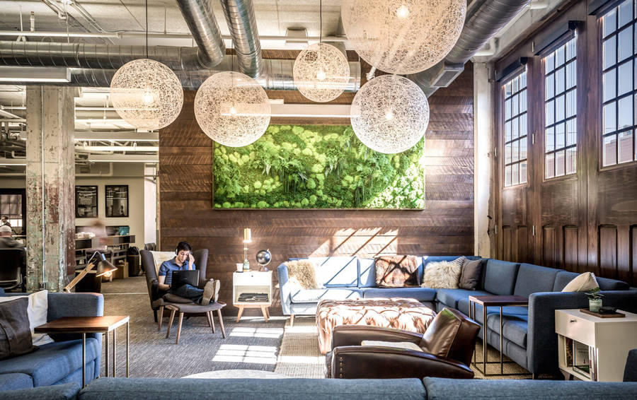 mosswallart7-900x566
